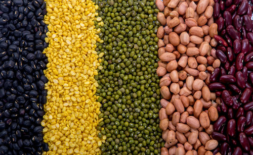 Know your Beans and Seeds - Growing Muscle as Vegans | Bhu Foods