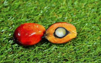 Healthy or Not? Debunking Health Myths of Red Palm Oil