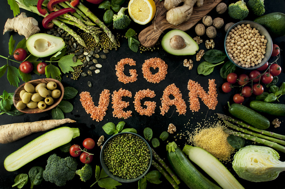 6 Solid Reasons to Go Vegan
