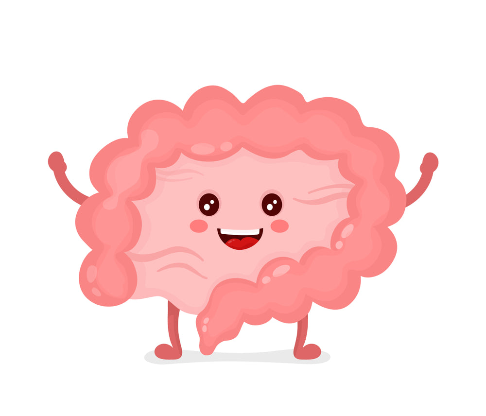 The Best Sources Of Probiotics And Prebiotics To Eat